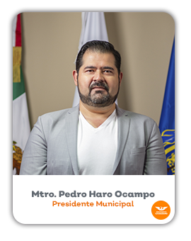 Mtro. Pedro Haro Ocampo