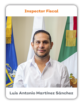 Inspector Fiscal