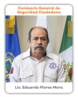 Comisario General de Seguridad Ciudadana