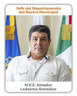 Jefe del Departamento del Rastro Municipal