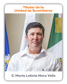 Titular de la Unidad de Suministros